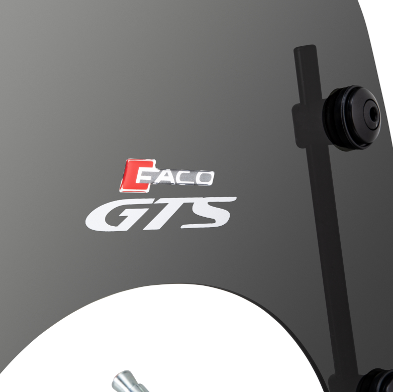 Windschild FACO für Vespa GTS /​GTS Super 125/​300ccm (`23-), getönt