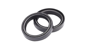 Gabelwellendichtringe