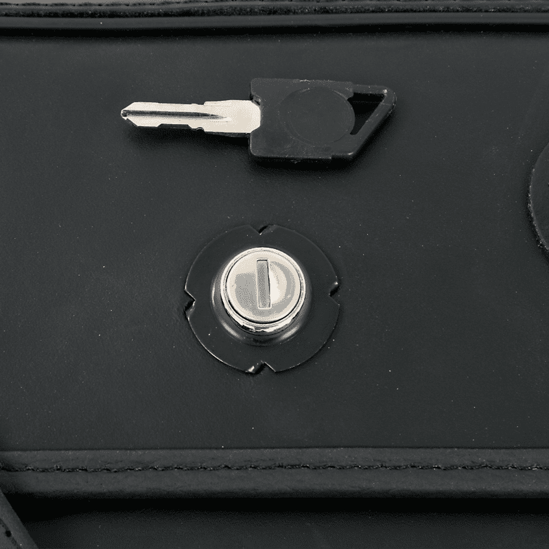 Satteltaschensatz Buffalo Custom schwarz für C-Bow Träger Hepco & Becker