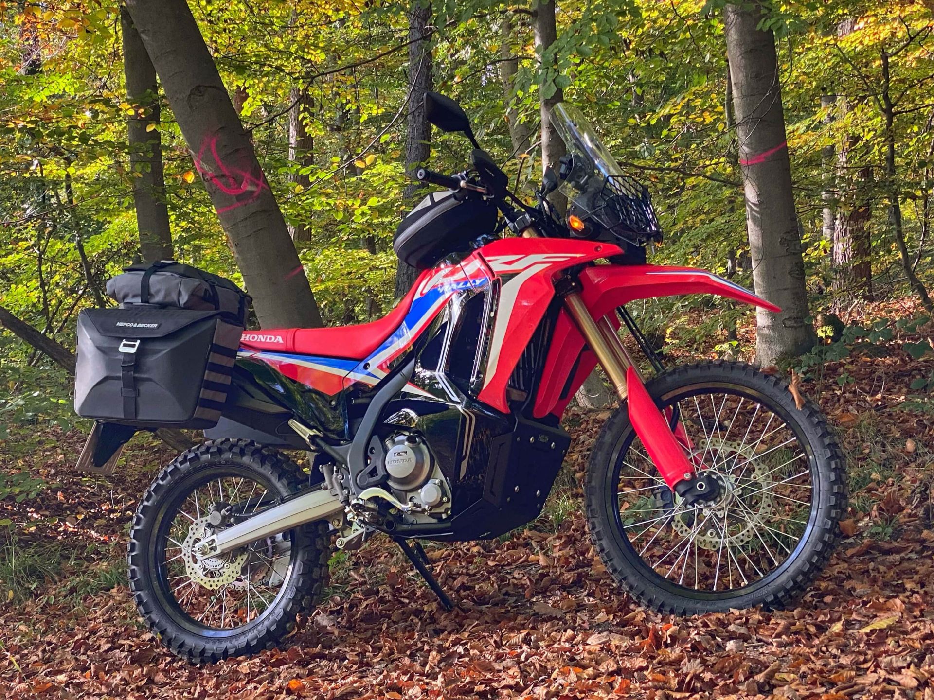 C-Bow Seitenträger schwarz für Honda CRF 300 Rally (21-) Hepco & Becker