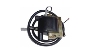 Elektronik-Box ECU/CDI