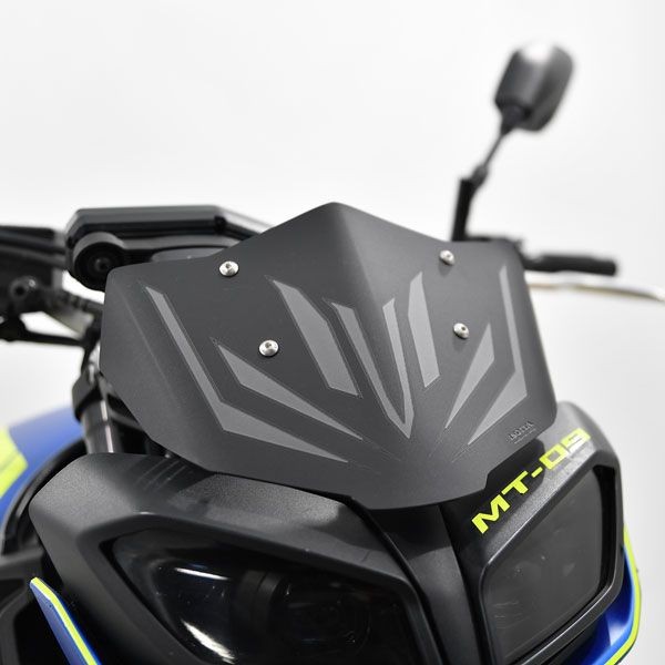 Windschild (Flyscreen) für Yamaha MT-09 (17-20) matt schwarz
