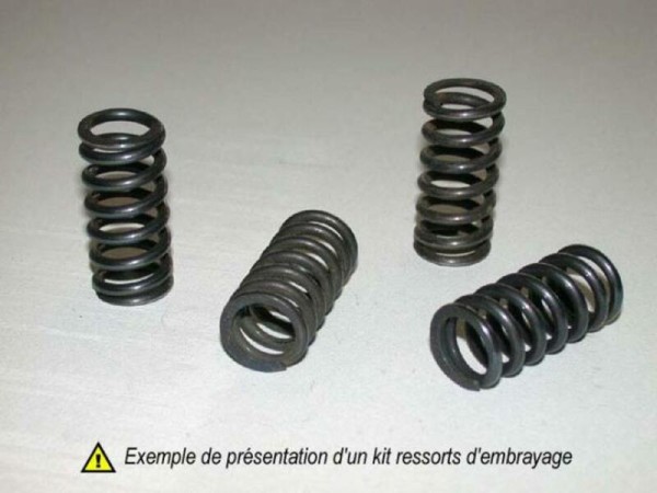 Barnett Kit Kupplungsfedern