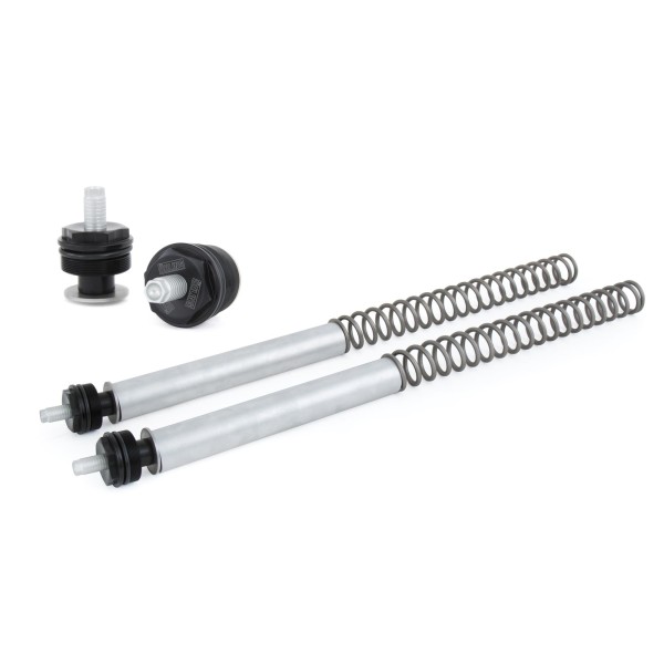 Original Yamaha Öhlins-Vordergabelfedersatz 100