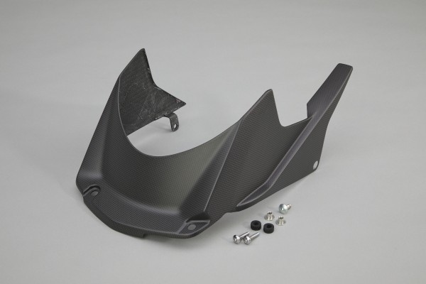 Original Carbon Hinterradabdeckung für Honda CBR1000RR-R BJ 20-
