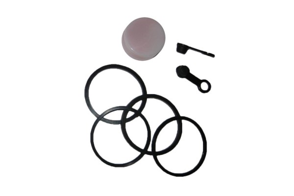 Reparaturkit Bremssattel Tecnium hinten Yamaha FZR600