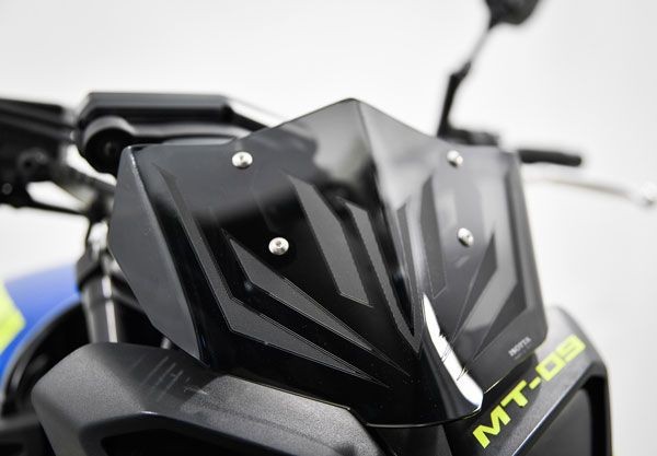 Windschild (Flyscreen) für Yamaha MT-09 (17-20) leicht getöhnt