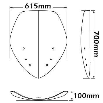 Hohe Windschutzscheibe - Höhe 700 mm für BMW R 1200 RT (05-09), leicht getönt