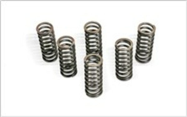 Barnett Kupplungsfeder-Kit für RM250 06-08